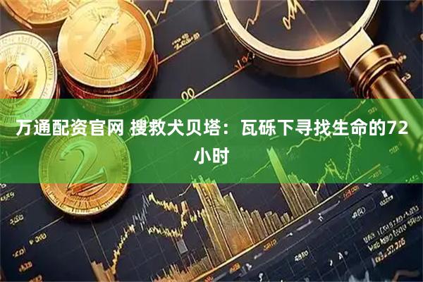 万通配资官网 搜救犬贝塔：瓦砾下寻找生命的72小时