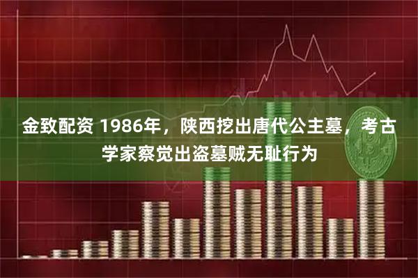 金致配资 1986年，陕西挖出唐代公主墓，考古学家察觉出盗墓贼无耻行为